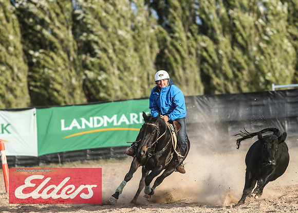 GoulburnCampdraft2018_9277
