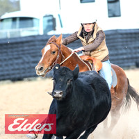 GoulburnCampdraft2018_9233