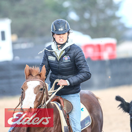 GoulburnCampdraft2018_9207