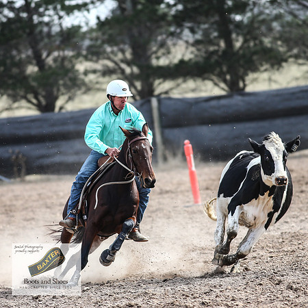 GoulburnCampdraft2018_3735