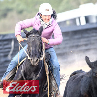GoulburnCampdraft2018_9146