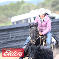 GoulburnCampdraft2018_9142