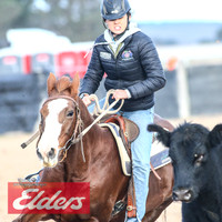 GoulburnCampdraft2018_9212