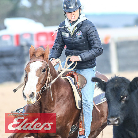 GoulburnCampdraft2018_9212