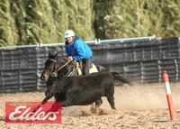 GoulburnCampdraft2018_9254