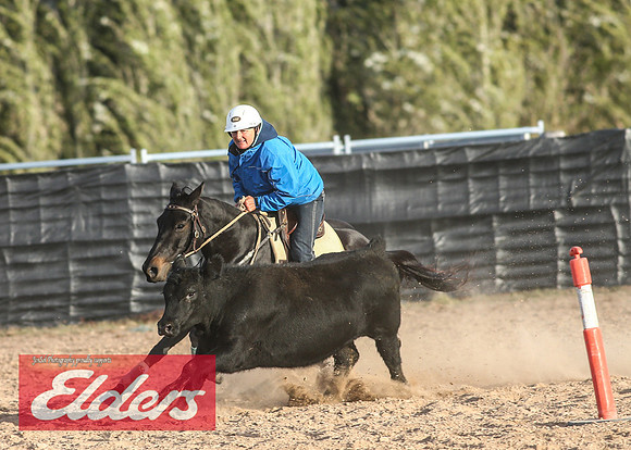 GoulburnCampdraft2018_9254