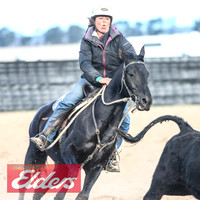 GoulburnCampdraft2018_9130