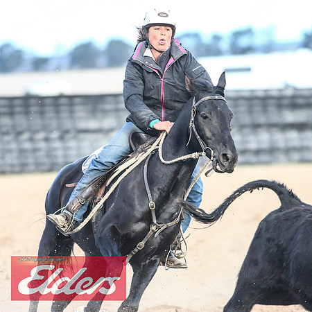 GoulburnCampdraft2018_9130