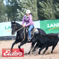 GoulburnCampdraft2018_9153