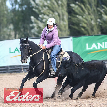 GoulburnCampdraft2018_9153