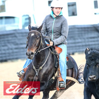 GoulburnCampdraft2018_9190