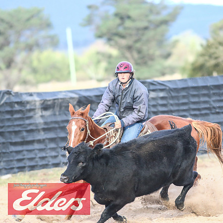 GoulburnCampdraft2018_9223