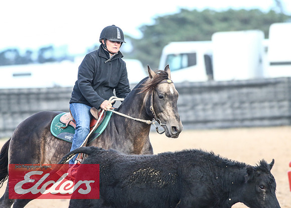 GoulburnCampdraft2018_9175