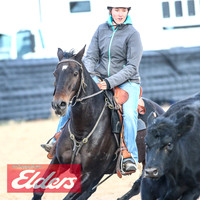 GoulburnCampdraft2018_9191