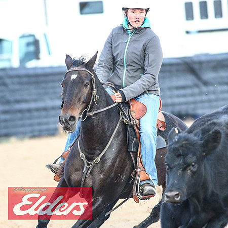 GoulburnCampdraft2018_9191
