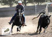 GoulburnCampdraft2018_3558