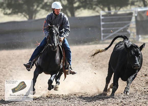 GoulburnCampdraft2018_3558