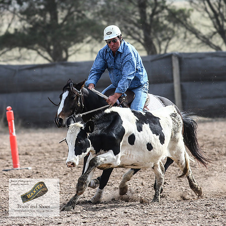 GoulburnCampdraft2018_3779