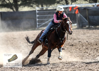 GoulburnCampdraft2018_3449
