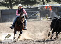 GoulburnCampdraft2018_3457