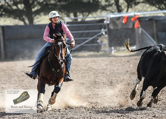 GoulburnCampdraft2018_3457