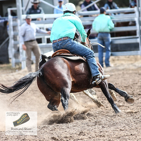 GoulburnCampdraft2018_3742
