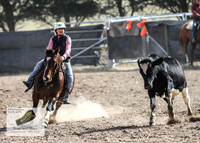 GoulburnCampdraft2018_3445
