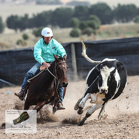 GoulburnCampdraft2018_3761