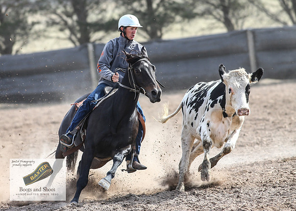GoulburnCampdraft2018_3715