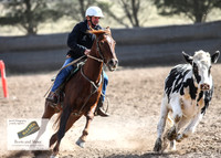 GoulburnCampdraft2018_3579
