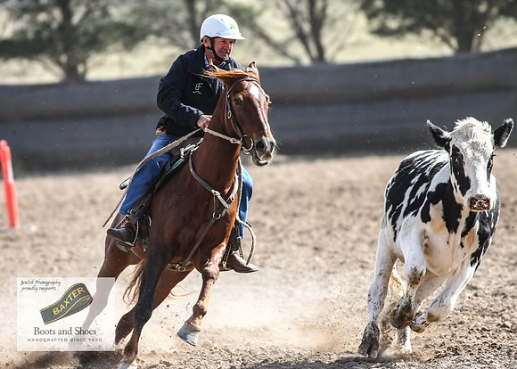 GoulburnCampdraft2018_3579