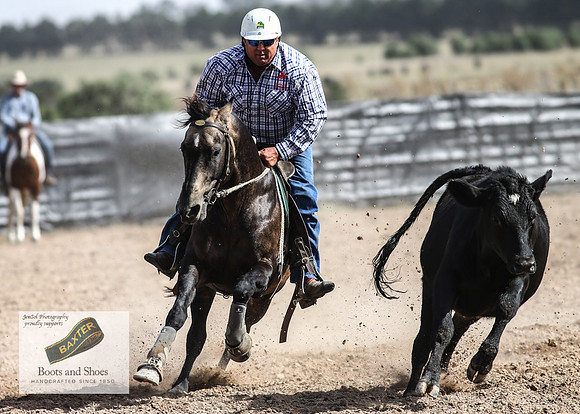 GoulburnCampdraft2018_3698