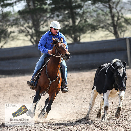 GoulburnCampdraft2018_3626