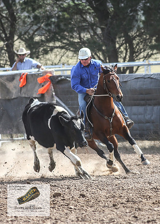 GoulburnCampdraft2018_3637