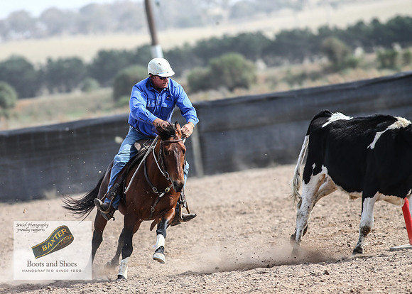 GoulburnCampdraft2018_3652