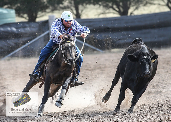 GoulburnCampdraft2018_3688