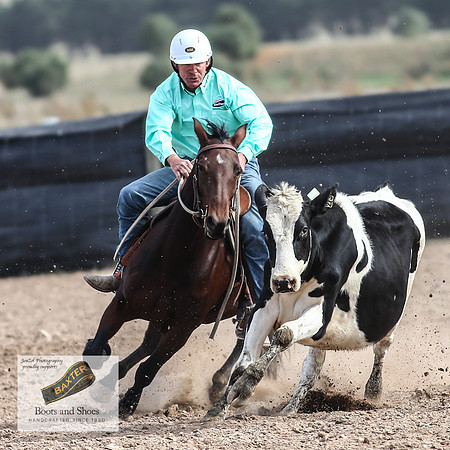 GoulburnCampdraft2018_3753