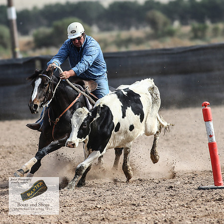 GoulburnCampdraft2018_3810
