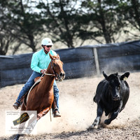 GoulburnCampdraft2018_3601