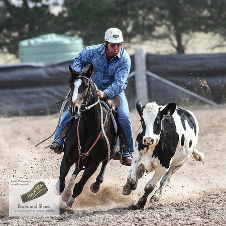 GoulburnCampdraft2018_3798