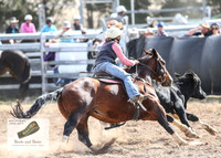GoulburnCampdraft2018_3464