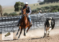 GoulburnCampdraft2018_3437