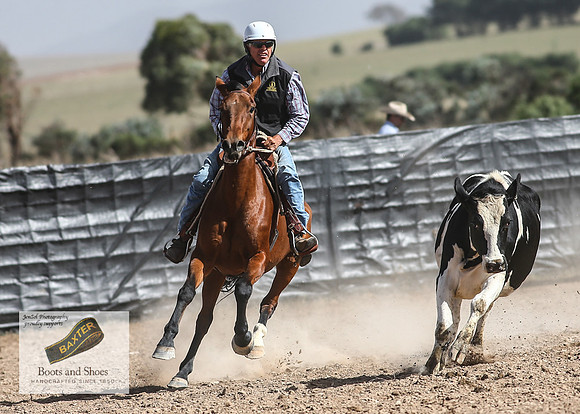 GoulburnCampdraft2018_3437