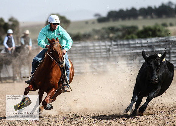 GoulburnCampdraft2018_3607