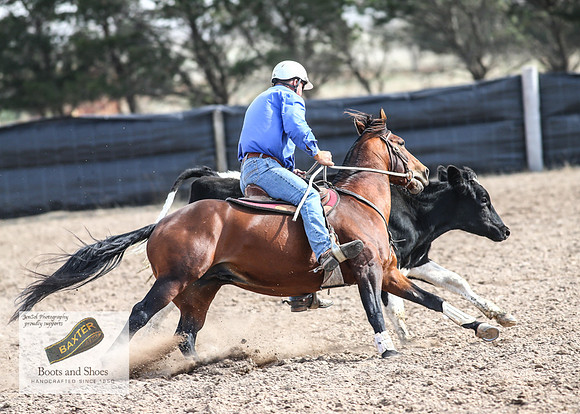 GoulburnCampdraft2018_3663