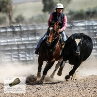 GoulburnCampdraft2018_3528