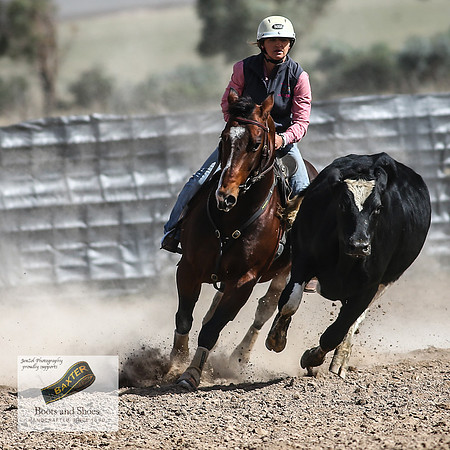 GoulburnCampdraft2018_3528