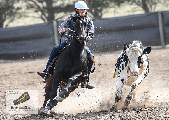 GoulburnCampdraft2018_3710