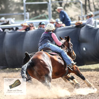 GoulburnCampdraft2018_3481