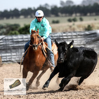 GoulburnCampdraft2018_3614